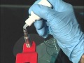 RapidTech Windshield Repair Kit Training