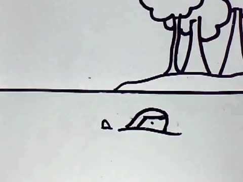 Click to view video