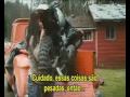 Trailer de Lua Nova...