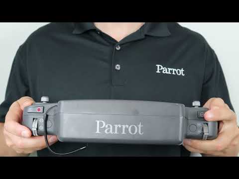 Parrot Training: Thermal and Zoom