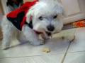 videos de MVI 9608
