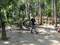 Koh Chang Joungle II Koh Chang Joungle II