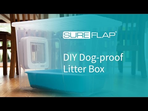 Dog Proof Cat Litter Box
