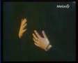 Herbert Leonard - Sur des musiques erotiques