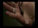 supernatural_through_the_eyes_of_love.wmv