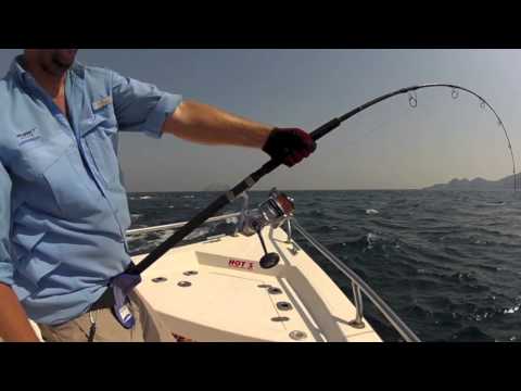 saragosa - This is short video testing the new Saragosa Prototype in the Musandam. Not a big GT but caught in massive current.