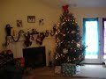 Christmas tree Christmas tree