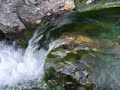Highland Stream - The Sound of Flowing Water