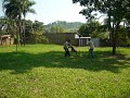 canilcaraibas.com
