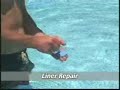 Intex Pool Troubeshooting Video Guide Intex Pool Troubeshooting Video Guide