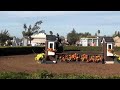 Horse & Hound Medal Finals