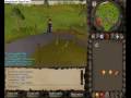 oragami baloons in runescape. oragami baloons in runescape.