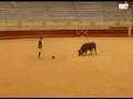 cristiano ronaldo vs. toro
