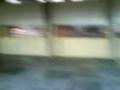 videos de Ping Pong com a Bola de Volei