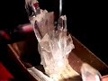 Behind the Scenes at the Swedish Museum of Natural History