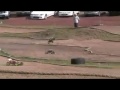 Plaig Swarm Truggy Plaig Swarm Truggy