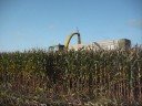 Skalmstrup Chopping corn JD 7800