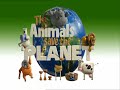 Romancing The Bag - The Animals Save The Planet