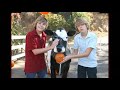 HERE is my new Video!!SUb and rate me.THANKS:):)BYE*KISS*