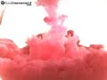 High-speed Pink Cloud of corn starch in water. High-speed Pink Cloud of corn starch in water.