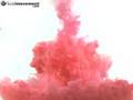 High-speed Pink Cloud of corn starch in water.