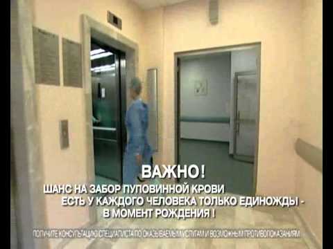 Stem Cell Storage