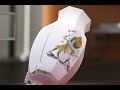 tsns-demo-reel-march-2008.html