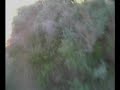EXTREME ENDURO GREECE VIOTIA HELMET CAMERA PART 2 EXTREME ENDURO GREECE VIOTIA HELMET CAMERA PART 2