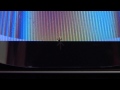 Grilli 3D Film Install