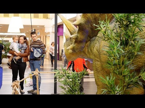 Vignette d'aperçu de la vidéo