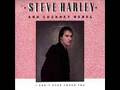 Steve Harley - I Can't Even Touch You