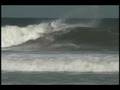 Vierinha Surf