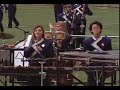 Los osos Regiment Where the wild things are