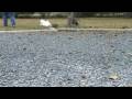 videos de 1/7/2009