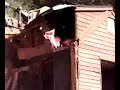 destructo destructo