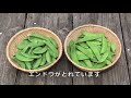 Click here to watch this video 菜園だより120516ボカシ・ラッカセイ・ネギ