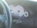power40tuning FOCUS 1.2.3.vites H?zlanma power40tuning FOCUS 1.2.3.vites H?zlanma