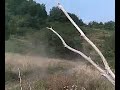 KTM e CRF in bagarre...IO e MAPPO in bagarre...