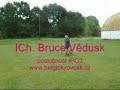 Bruce Vědusk - poslušnost podle IPO3