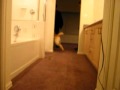 Seabee / narcotics detection K9/ house