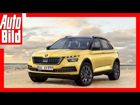 Skoda Polar - Zukunftsaussicht (2019) Details / Erkl ...