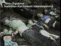 pkk\