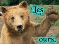Les animaux sauvages. Les animaux sauvages.