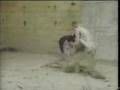 Fort Boyard Québec 1994 - La lutte dans la boue