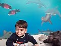 Manhattan Beach Pier Aquarium