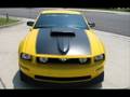 Muscle Cars