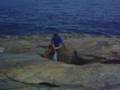 Albany Blow Hole