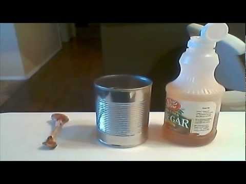 how to dissolve bone