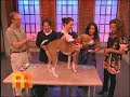Vanessa Williams Protects Rachael Ray's Dog Vanessa Williams Protects Rachael Ray's Dog