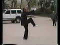 Tai Chi - Wu Style by Fei Guo Qing!